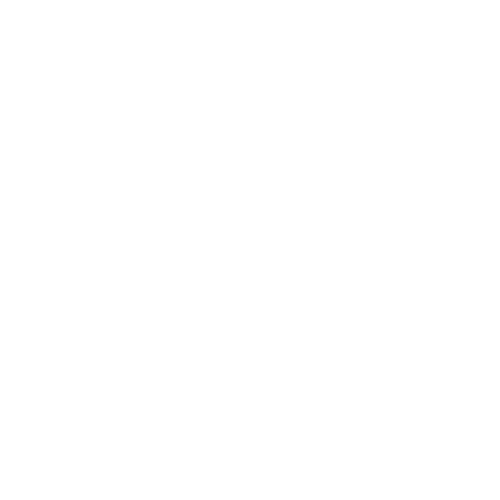 Dr. Kumar Foundation Logo